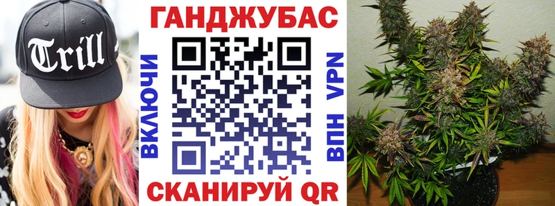 где купить наркоту  Красный Холм  blacksprut ONION  мориарти телеграм  Шишки марихуана тримм 